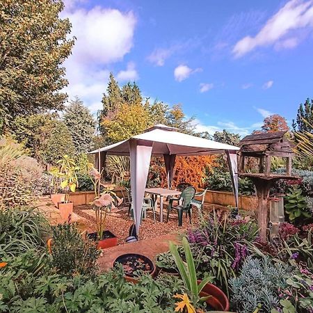 Strawberry Hill The Sandy Studio Flat In Petersham מראה חיצוני תמונה